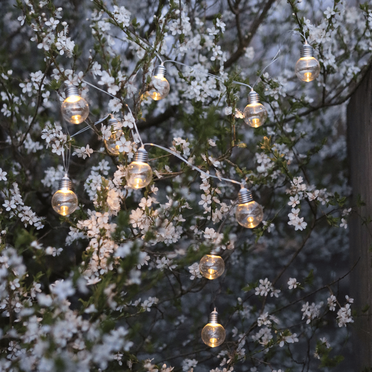 LED Solar Lichterkette mit 10 Leuchten - Nordicflame-de