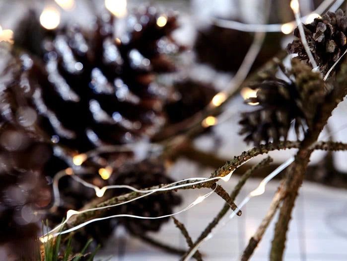 Leuchtende silberfarbene Lichterkette, um Zweige und Zapfen gewickelt, als Weihnachts- und Tischdeko